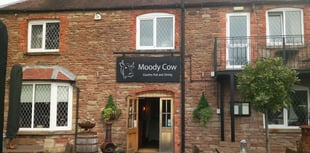 The Moody Cow's memorable pub name accolade