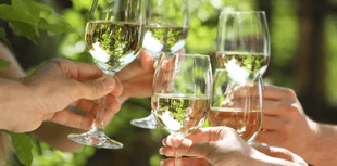 Discover English wine experiences in Herefordshire