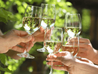 Discover English wine experiences in Herefordshire
