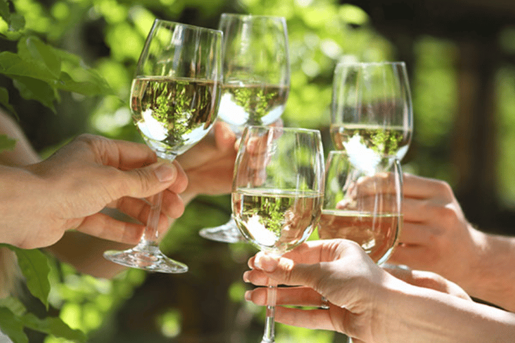 Wine tasting