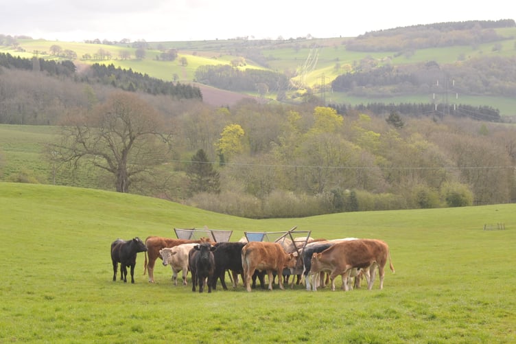 BPS will drop to 60% in 2026, 40% in 2027, 20% in 2028, and 0% in 2029