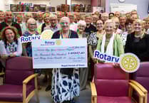 Half marathons take appeal closer to finishing line