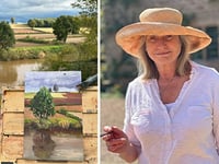 Artist captures Herefordshire's beauty in debut art exhibition