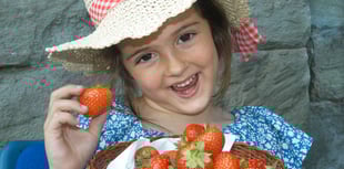 Sunshine success as Strawberry Fayre raises £2,500