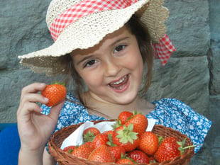 Sunshine success as Strawberry Fayre raises £2,500