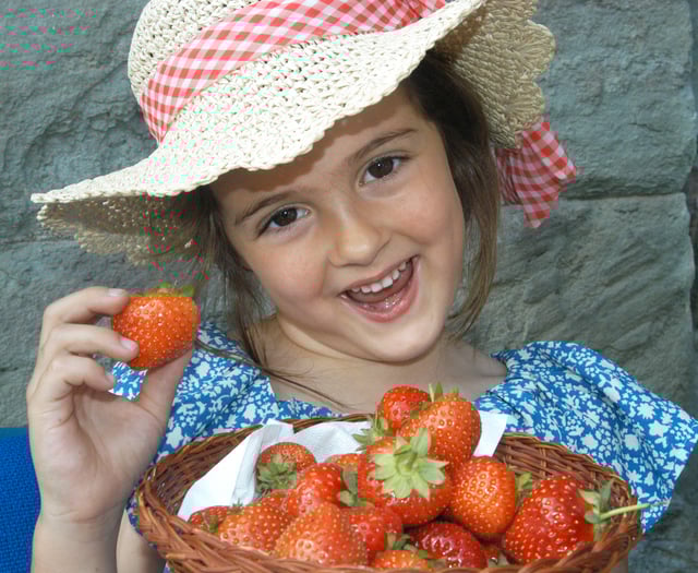 Sunshine success as Strawberry Fayre raises £2,500