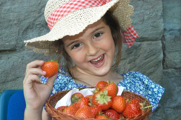 Strawberry Fayre