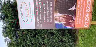 Mentor Link seeks Lydney volunteer