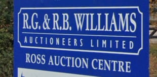 Record cattle prices at Ross-on-Wye livestock auction