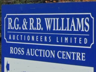Record cattle prices at Ross-on-Wye livestock auction