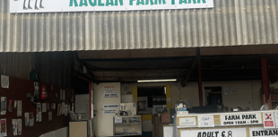 Visit Raglan Farm's pumpkin patch this October