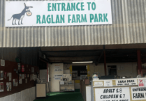 Explore Raglan Farm's pumpkin patch fun
