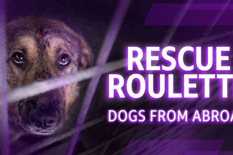 Rescue Roulette- BBC local Investigation 