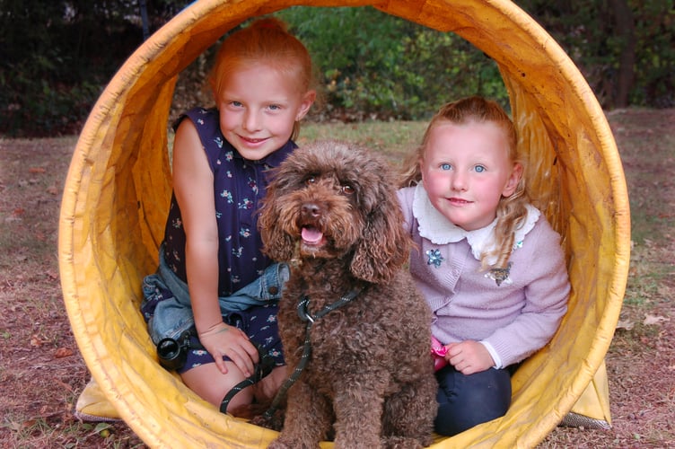 Dog show