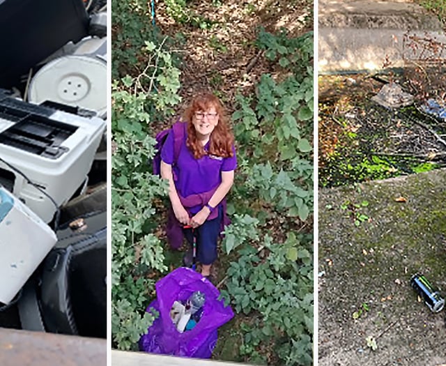 Local woman's litter cleanup mission