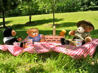 Families invited to town's Teddy Bear Picnic