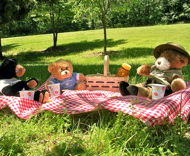 Families invited to town's Teddy Bear Picnic