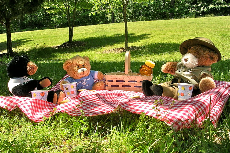 Teddy bear picnic