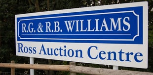 Record sales at livestock auction as prices soar