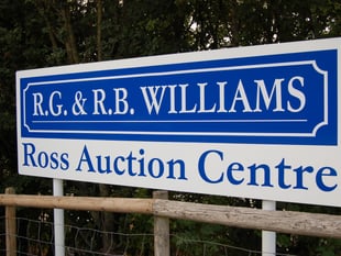 Record sales at livestock auction as prices soar