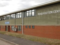 Bank Holiday auction Sees record livestock prices