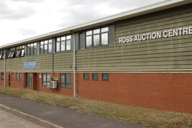 Bank Holiday auction Sees record livestock prices