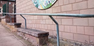 Pigeon poop problem plagues town's library