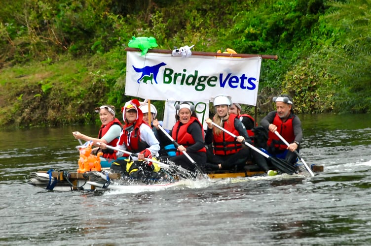 Bridge Vets swapped pet strokes for paddle strokes in the 58th Monmouth Raft Race