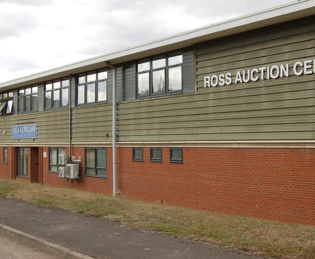 Excellent trade for livestock at Ross livestock market