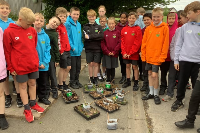 Wildlife Trust seeks enthusiasts to fill key roles