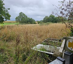 Duchy of Cornwall challenged over neglected footpath and field