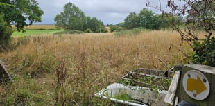 Duchy of Cornwall challenged over neglected footpath and field