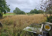 Duchy of Cornwall challenged over neglected footpath and field