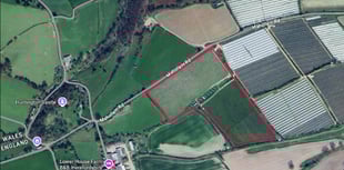 Fruit grower says polytunnel ruling 'puts views ahead of food'