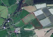 Fruit grower says polytunnel ruling 'puts views ahead of food'