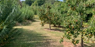 New sewage solution for homes aims to protect River Wye
