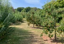 New sewage solution for homes aims to protect River Wye