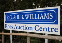 Livestock auction sees record cattle and lamb prices