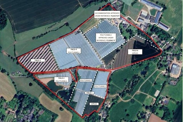 Fruit farm expands polytunnel area 