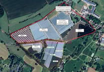 Fruit farm expands polytunnel area