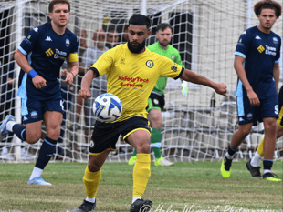 Daffs high five it with seventh straight win