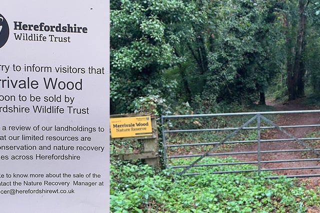 Merrivale Wood for Sale at £90,000