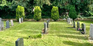 Churchyard yew trees face the chop