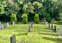 Churchyard yew trees face the chop
