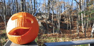 Free half-term activities in Ross