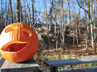 Free half-term activities in Ross