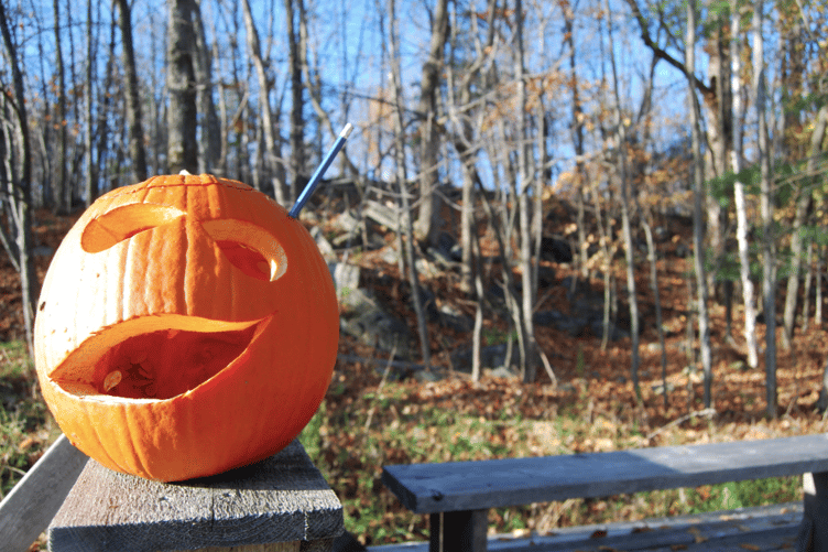 Families can enjoy pumpkin trails, crafts, and other free activities during Ross-on-Wye’s October half-term programme.