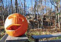 Free family fun in Ross-on-Wye this half-term