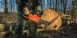 Temporary caravan bid for 'Regen Ben's' Brampton Abbotts farm