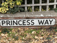 Volunteers brighten street with sign makeover